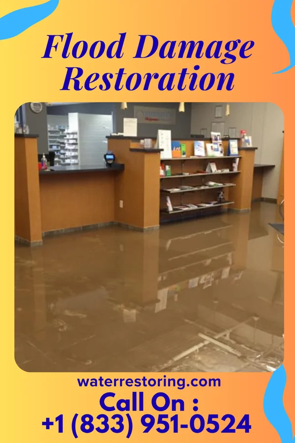 Flood Damage Restoration in Shiloh, SC