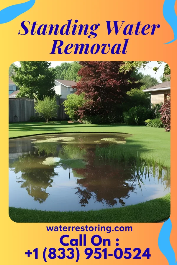 Standing Water Removal in Shiloh, SC